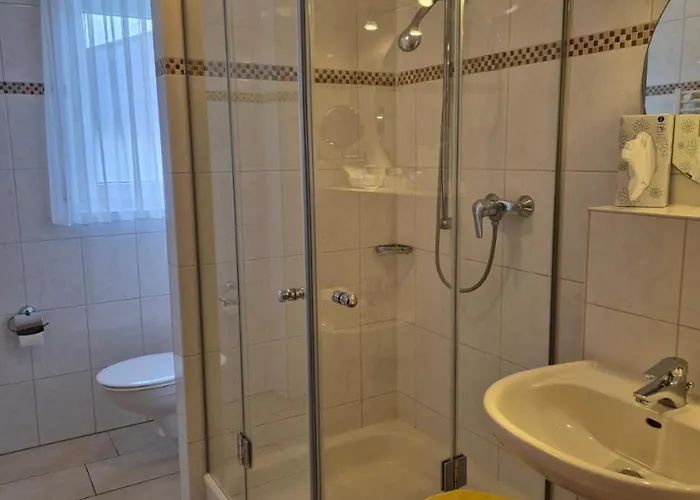 祖尔瓦格酒店 3* 巴特明斯特艾弗尔